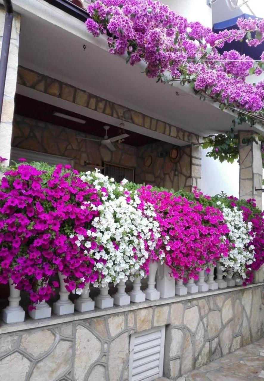 Apartments Dobri - 500M From Beach Nin Exterior foto